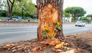 "Non mi sono accorto di nulla"