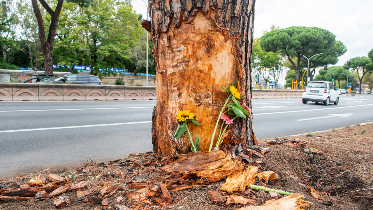 "Non mi sono accorto di nulla"