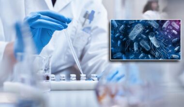 bar e ristoranti sotto la lente. “Attenzione ai cibi poco cotti”