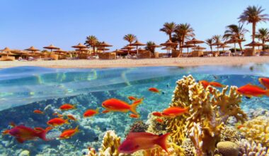 Nuova offerta flash easyJet per vacanze invernali al caldo