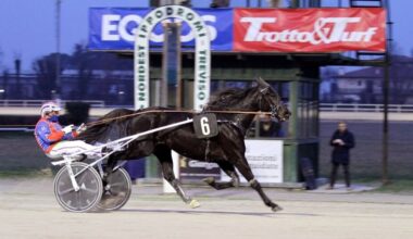 Sant'Artemio, storica sfida tra i ciclisti Vendrame e Borghesi e i cavalli Dynata e Admiral man