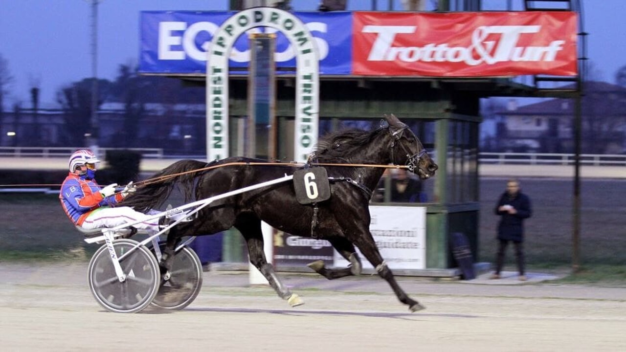 Sant'Artemio, storica sfida tra i ciclisti Vendrame e Borghesi e i cavalli Dynata e Admiral man
