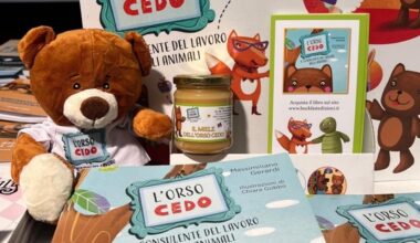 L'orso Cedo di Max Gerardi il 5 novembre