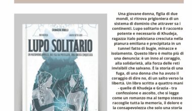 Lupo Solitario - Comune di Borgo San Lorenzo