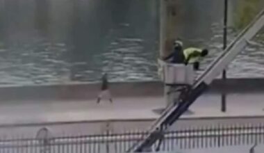 Furto al Louvre, ladri fuggono indisturbati dopo aver rubato gioielli per 88 milioni di euro. VIDEO