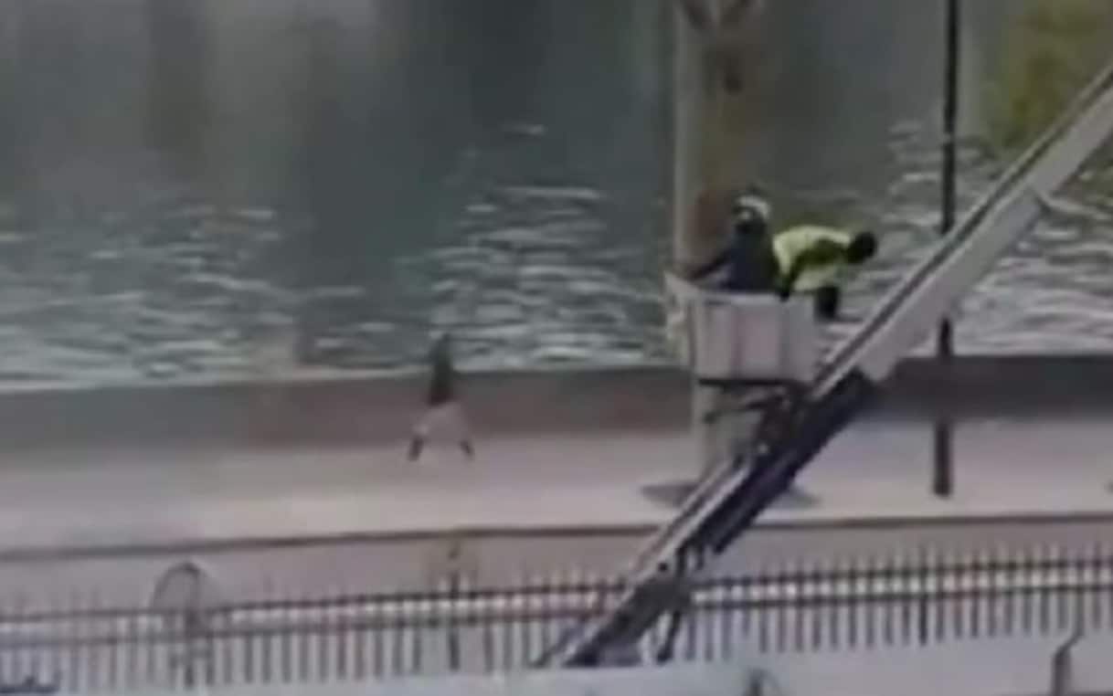 Furto al Louvre, ladri fuggono indisturbati dopo aver rubato gioielli per 88 milioni di euro. VIDEO