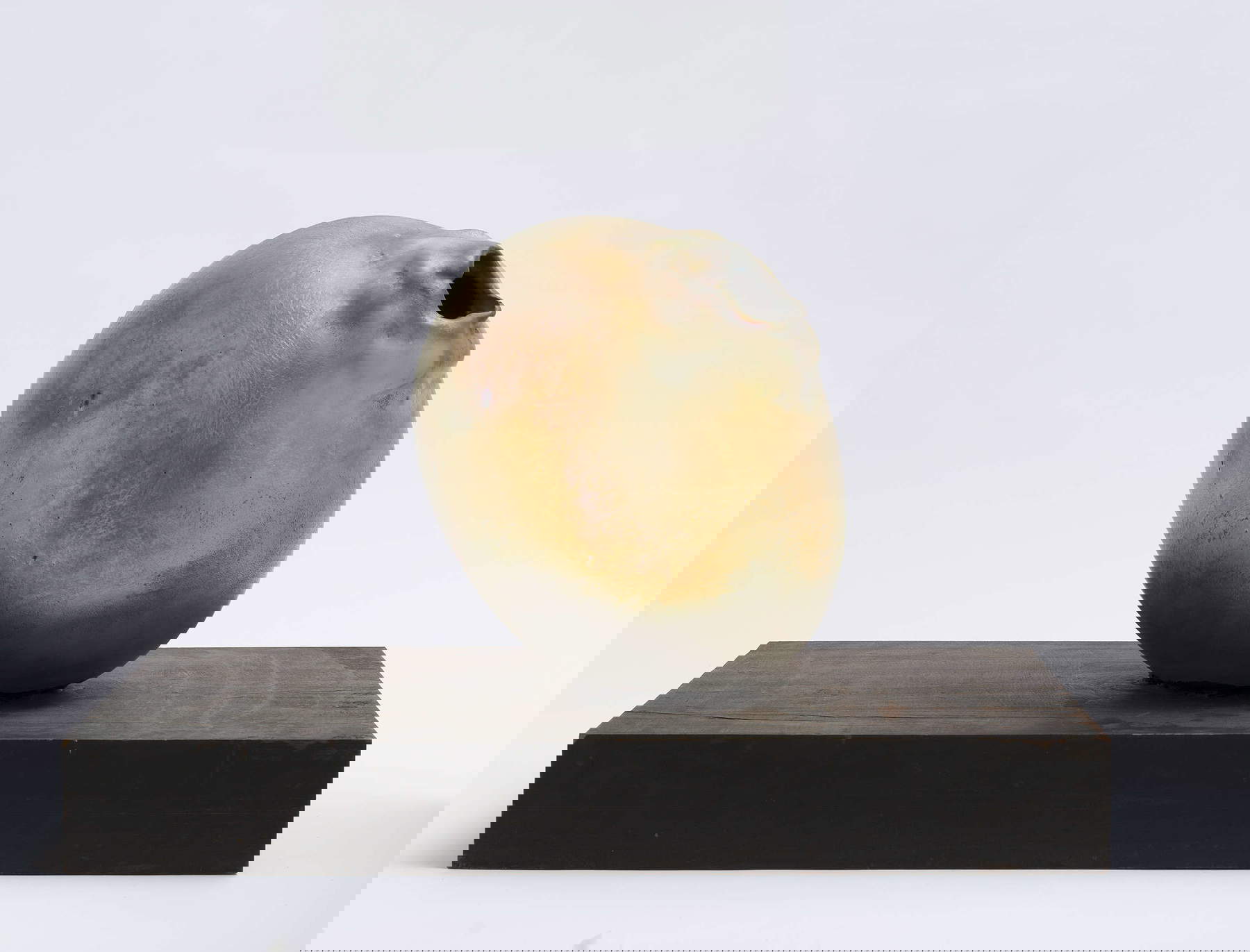 Lucio Fontana, Concetto spaziale (1962-1963; terracotta smaltata, lustrata e squarcio, 28 x 21 cm; Milano, Fondazione Lucio Fontana) © Fondazione Lucio Fontana, Milano, by SIAE 2025