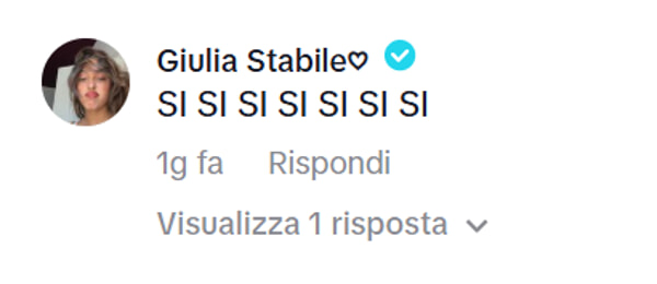 Il commento di Giulia Stabile, foto da TikTok Il commento di Giulia Stabile, foto da TikTok