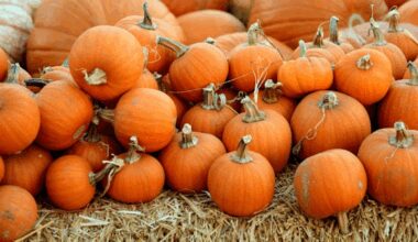 La notte dei pupazzi - Halloween Edition 2.0