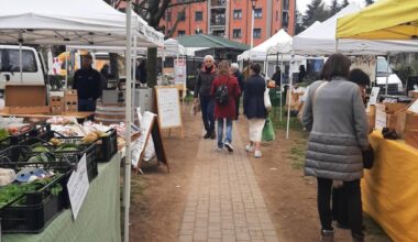 Domenica al Parco Comerio di Busto Arsizio torna il Mercato Contadino