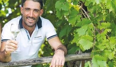 Tragedia in cantina, muore stritolato mentre stava pulendo la pressa dell'uva