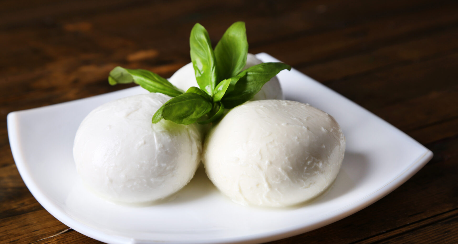 mozzarelle mozzarella formaggi latticini latte