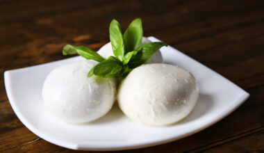 mozzarelle mozzarella formaggi latticini latte
