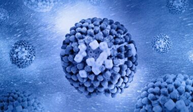 un mix di anticorpi apre la strada a un trattamento universale