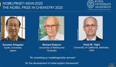 Kitagawa, Robson e Yaghi: chi sono i vincitori del Nobel per la Chimica 2025
