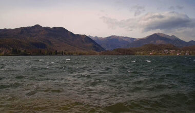 alberi e pali caduti, forti raffiche