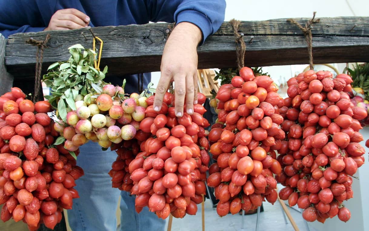 Pomodorini siciliani contaminati da salmonella, 437 casi in Europa: come proteggersi