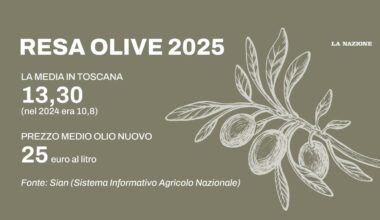 i dati provincia per provincia