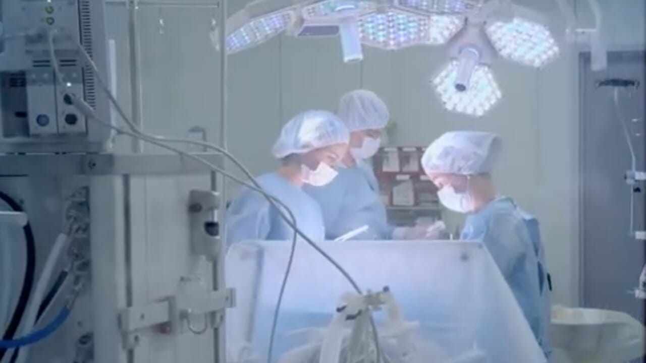 prelevati fegato, reni e cornee da una paziente