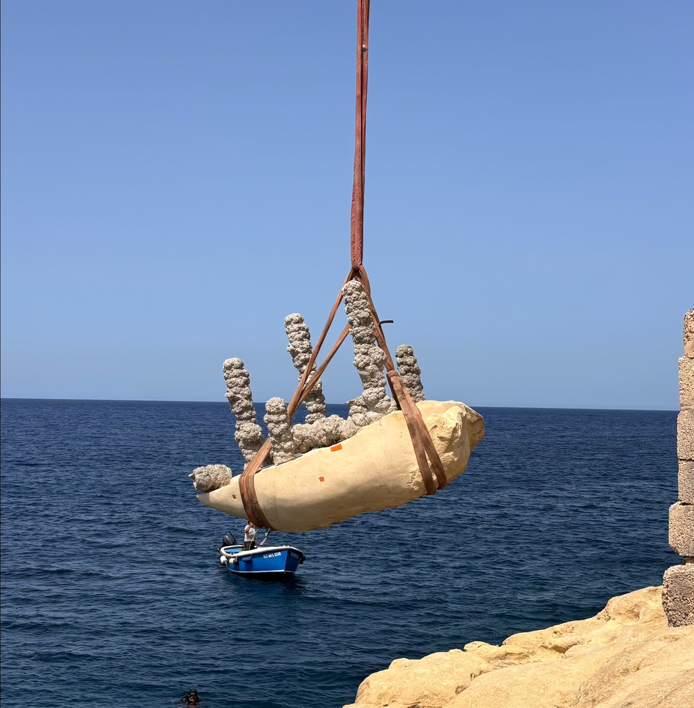 art4sea