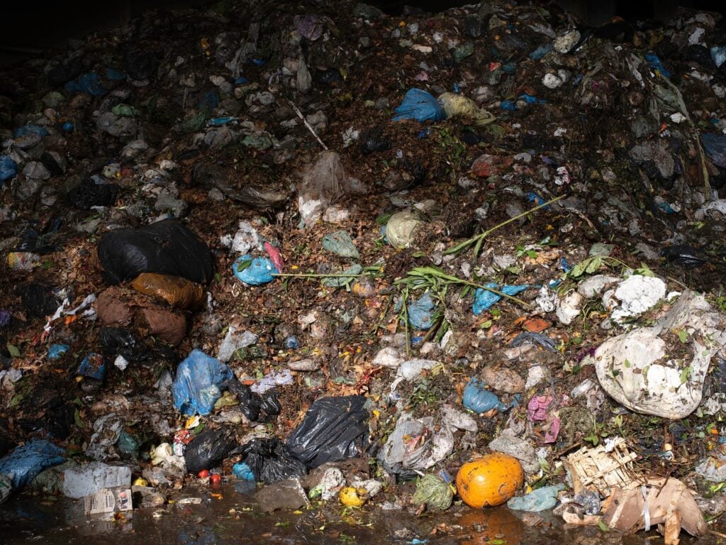 silvia camporesi 20252 Che cosa è l’enshittification e che cosa ha a che vedere l’arte contemporanea 