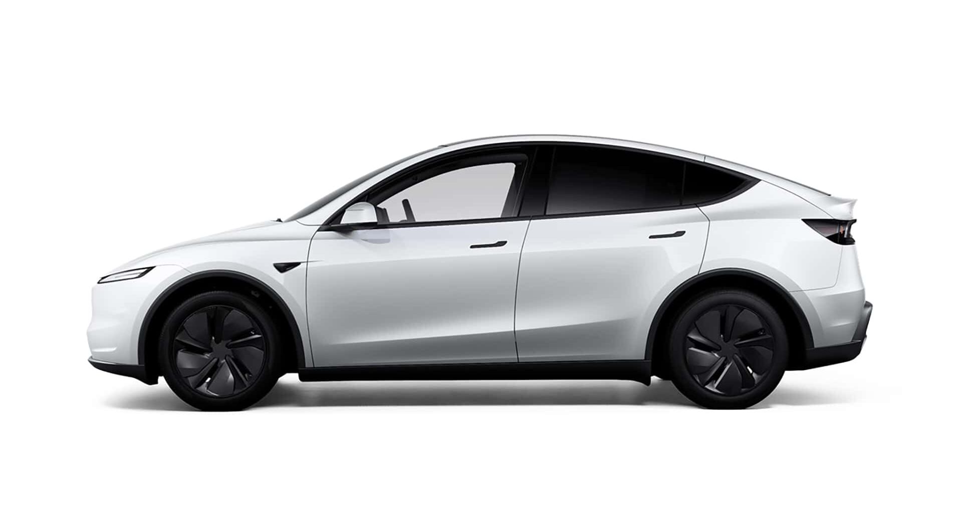 Avvistata la Tesla Model Y economica (e spoilerati i prezzi)