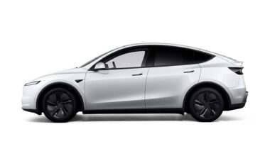 Avvistata la Tesla Model Y economica (e spoilerati i prezzi)