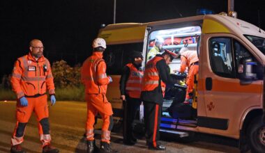 stava potando le piante sul lungomare 