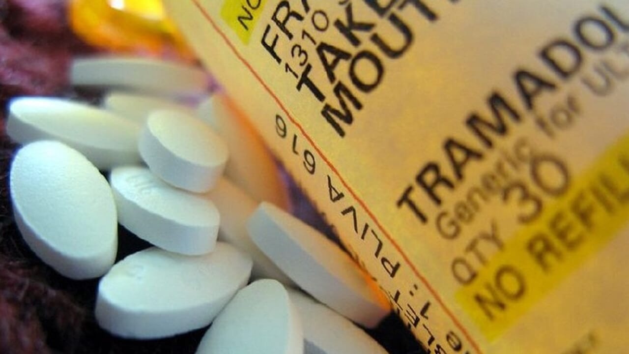 ecco come l'antidolorifico usato come droga è arrivato a Parma