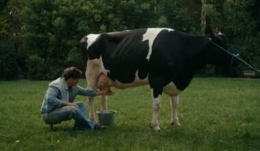 Una mucca di Lodi nel video di Olly