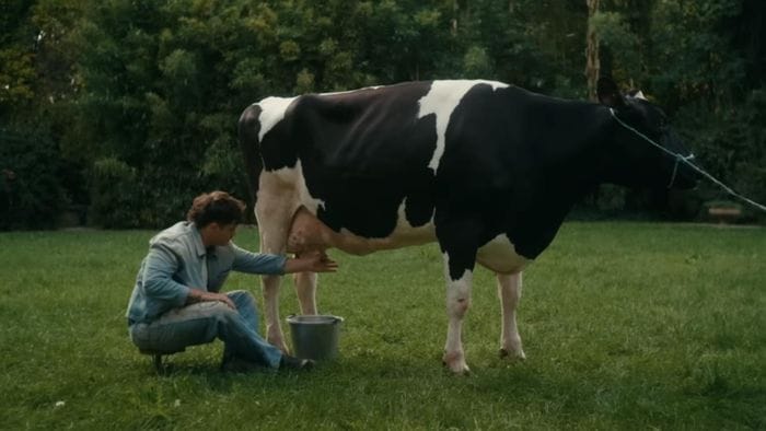 Una mucca di Lodi nel video di Olly