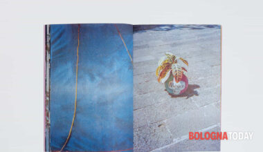 a Bologna la biennale del libro fotografico