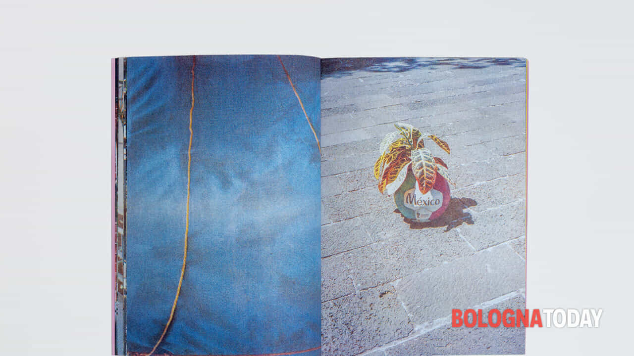 a Bologna la biennale del libro fotografico