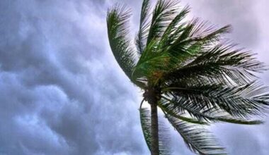 Allerta meteo Toscana 23-24 ottobre 2025