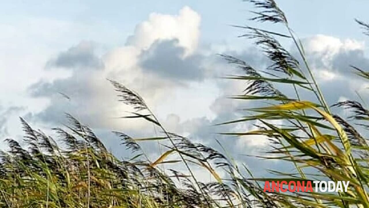 In arrivo venti forti da nord a sud, la Protezione Civile regionale dirama l'allerta arancione