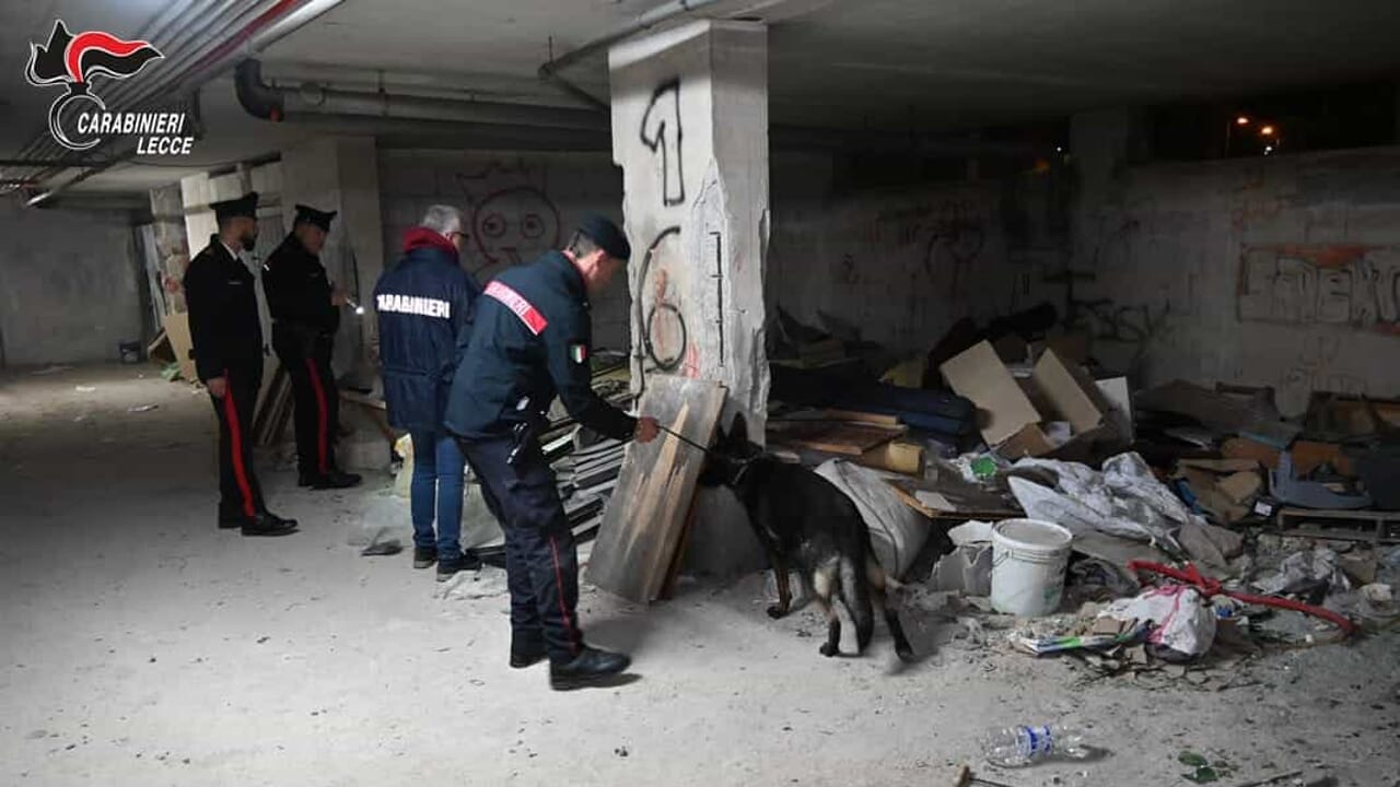 Blitz antidroga nel Salento, vasta operazione dei carabinieri: scattano 19 arresti