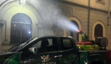 Zanzara tigre, ancora un caso.Scatta un’altra disinfestazione