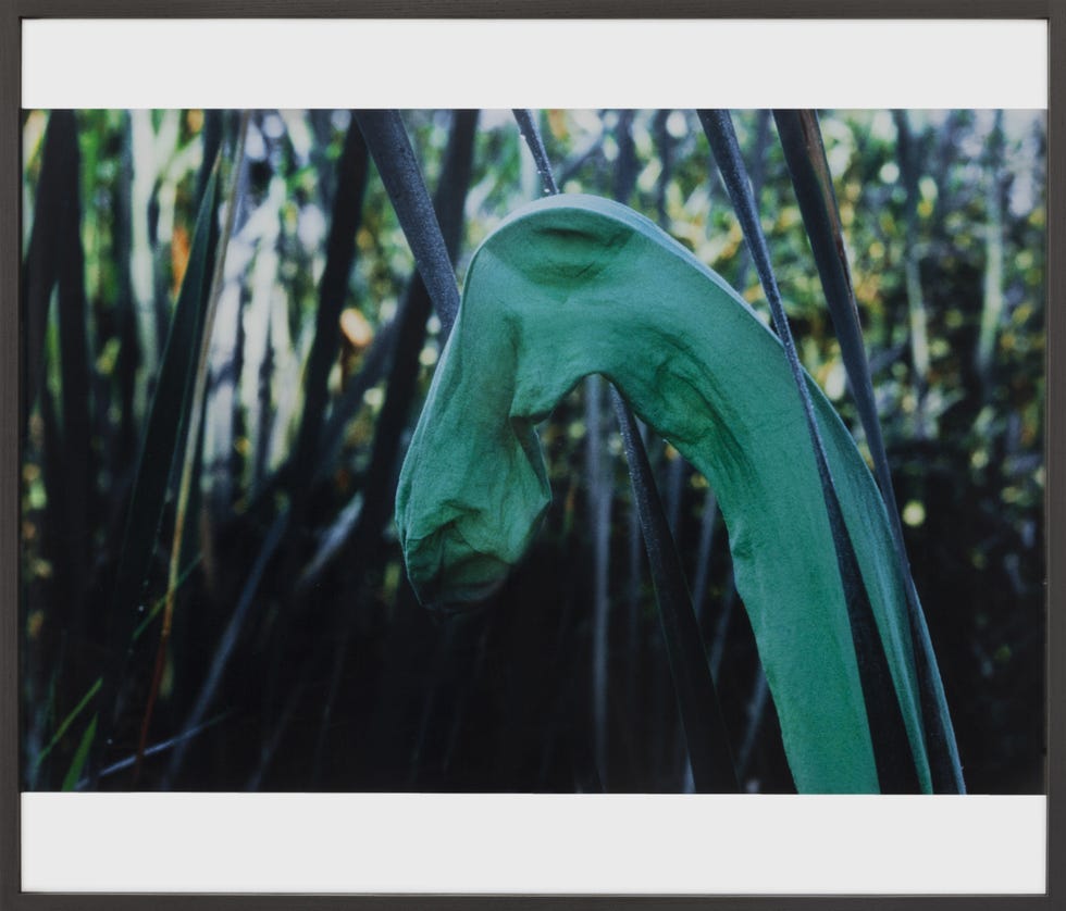 lothar baumgarten, ﻿schwan/leda, ﻿1970 ﻿courtesy galleria franco noero e lothar baumgarten estate