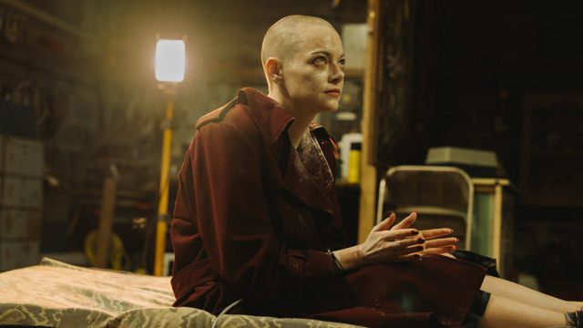 Bugonia - Una galleria di immagini