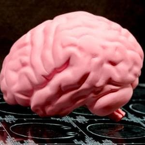 Ogni minuto conta: contro l’ictus il tempo è davvero cervello