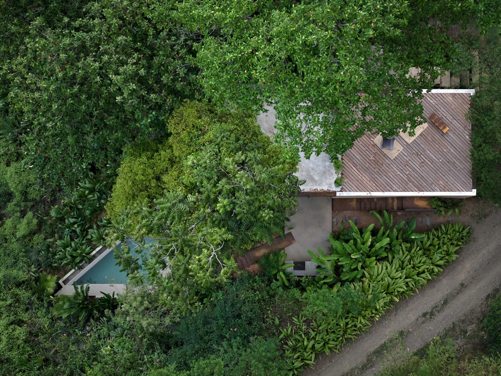 arquitecta diseno su casa en la naturaleza studio house es una vivienda sencilla en la que conviven arquitectura y paisaje