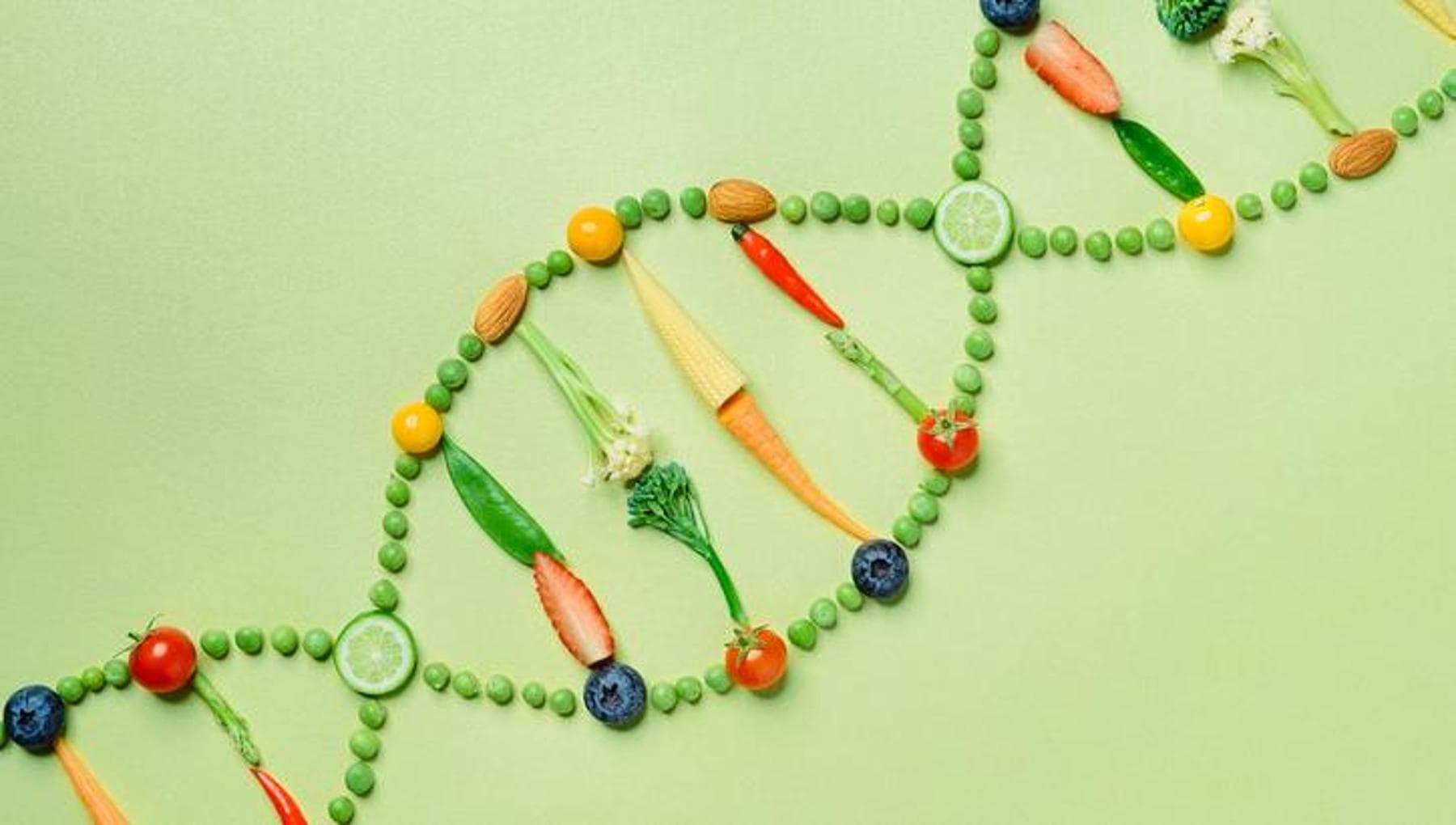 La dieta che parla al DNA: ecco come il cibo può rallentare l’invecchiamento