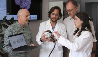 BraDiPho, dall'Università di Trento una mappa 3D delle connessioni del cervello - Tgcom24