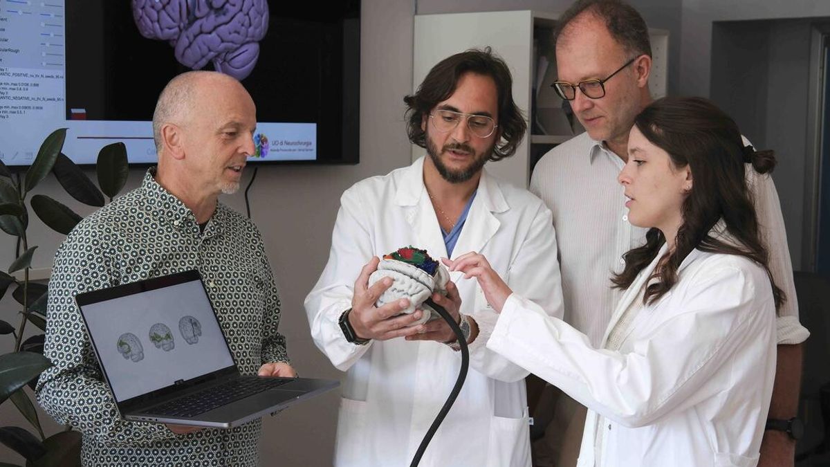 BraDiPho, dall'Università di Trento una mappa 3D delle connessioni del cervello - Tgcom24