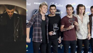Zayn Malik di nuovo in affari con gli One Direction