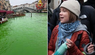 Colora di verde Canal Grande, daspo per Greta Thunberg a Venezia