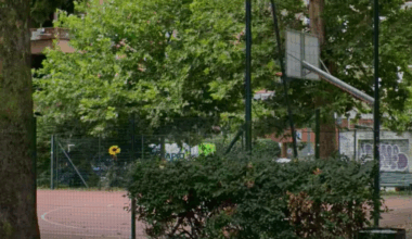 Milano, strappa un girasole dedicato a un figlio morto