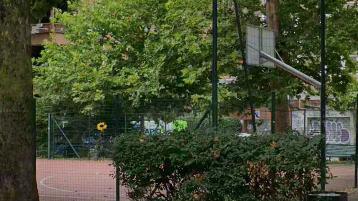 Milano, strappa un girasole dedicato a un figlio morto