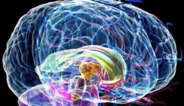 Così il cervello decide quali ricordi conservare