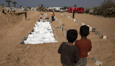 Flash mob al Senato per il salario minimo, La Presse